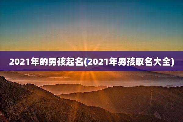 2021年的男孩起名(2021年男孩取名大全)