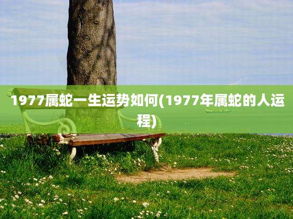 1977属蛇一生运势如何(1977年属蛇的人运程)