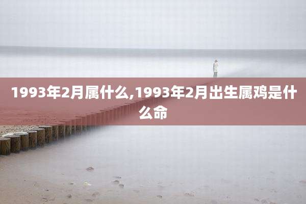 1993年2月属什么,1993年2月出生属鸡是什么命