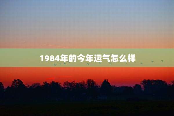 1984年的今年运气怎么样