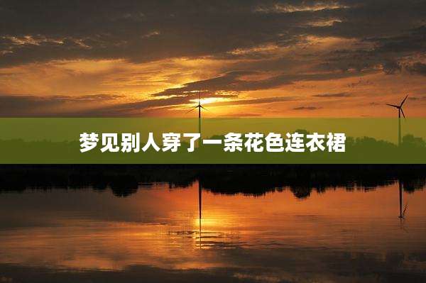 梦见别人穿了一条花色连衣裙