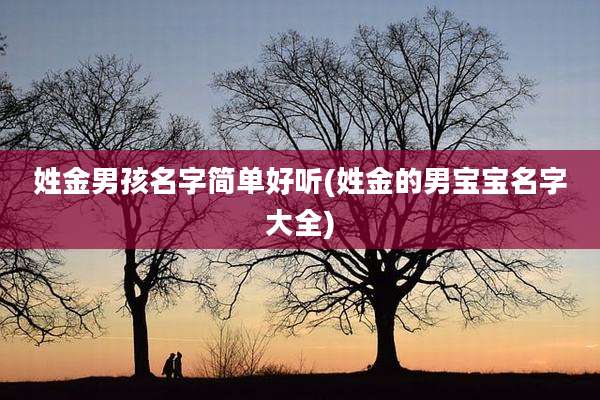 姓金男孩名字简单好听(姓金的男宝宝名字大全)