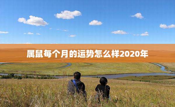 属鼠每个月的运势怎么样2020年