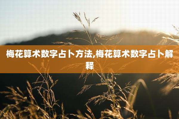 梅花算术数字占卜方法,梅花算术数字占卜解释