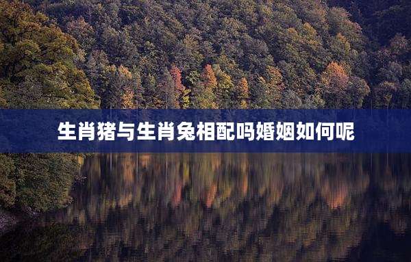 生肖猪与生肖兔相配吗婚姻如何呢