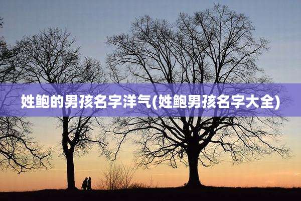 姓鲍的男孩名字洋气(姓鲍男孩名字大全)