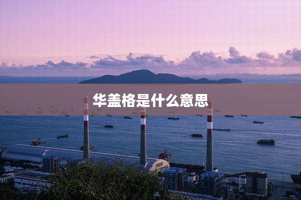华盖格是什么意思