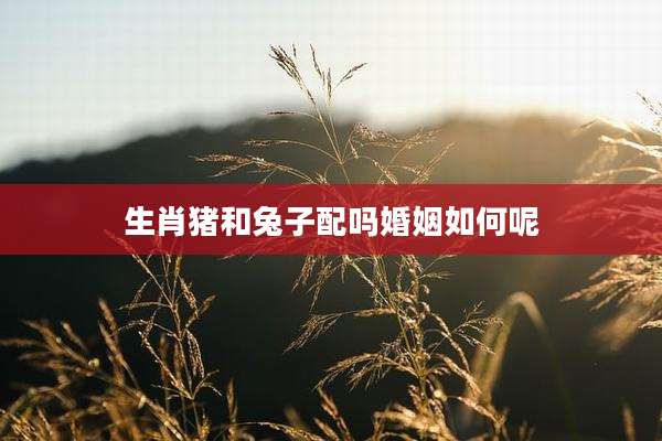 生肖猪和兔子配吗婚姻如何呢