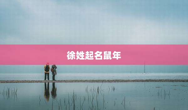 徐姓起名鼠年
