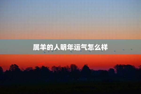 属羊的人明年运气怎么样