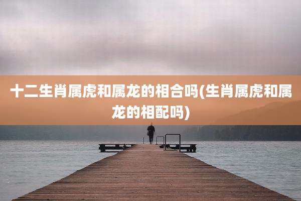 十二生肖属虎和属龙的相合吗(生肖属虎和属龙的相配吗)