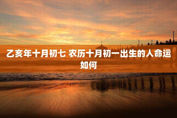 乙亥年十月初七 农历十月初一出生的人命运如何