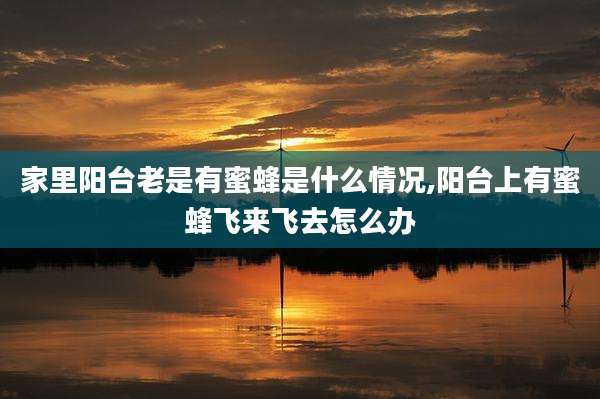 家里阳台老是有蜜蜂是什么情况,阳台上有蜜蜂飞来飞去怎么办