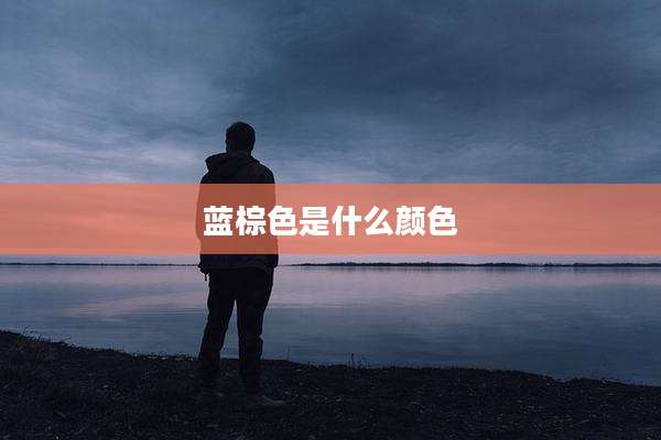 蓝棕色是什么颜色