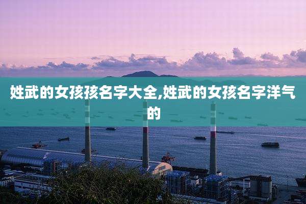 姓武的女孩孩名字大全,姓武的女孩名字洋气的