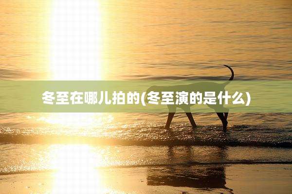 冬至在哪儿拍的(冬至演的是什么)