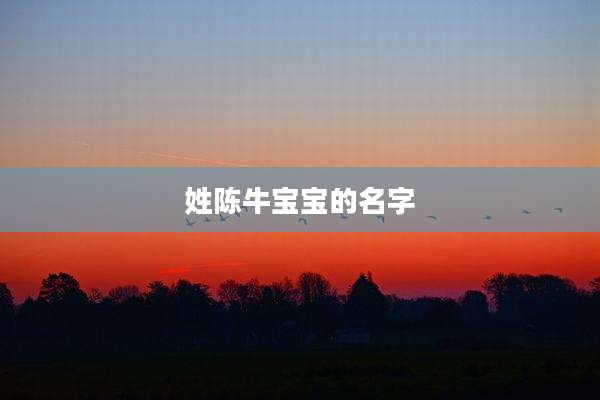 姓陈牛宝宝的名字