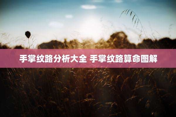 手掌纹路分析大全 手掌纹路算命图解