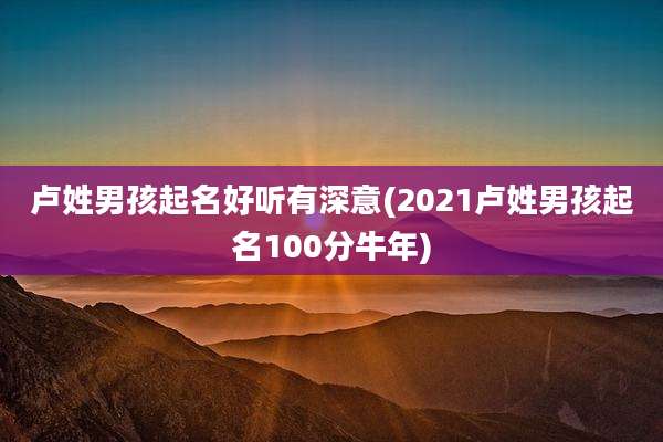 卢姓男孩起名好听有深意(2021卢姓男孩起名100分牛年)