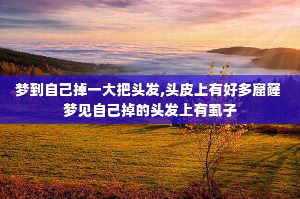 梦到自己掉一大把头发,头皮上有好多窟窿 梦见自己掉的头发上有虱子