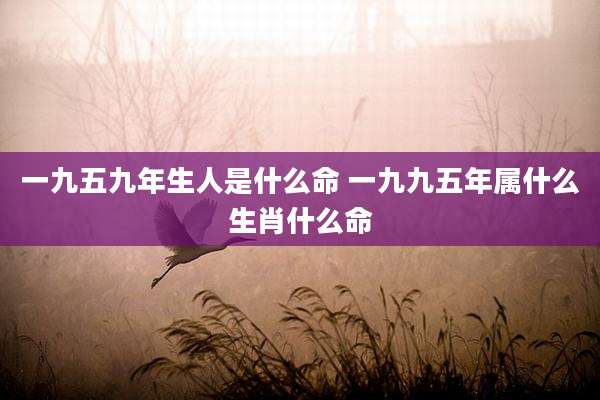 一九五九年生人是什么命 一九九五年属什么生肖什么命
