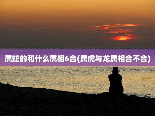 属蛇的和什么属相6合(属虎与龙属相合不合)