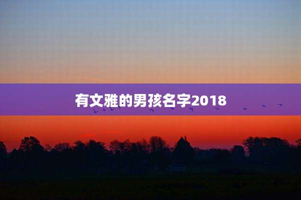 有文雅的男孩名字2018