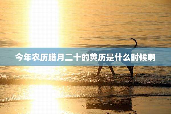 今年农历腊月二十的黄历是什么时候啊