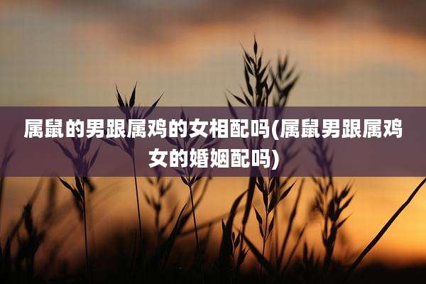属鼠的男跟属鸡的女相配吗(属鼠男跟属鸡女的婚姻配吗)