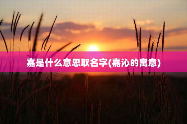 嘉是什么意思取名字(嘉沁的寓意)