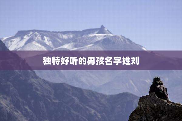 独特好听的男孩名字姓刘