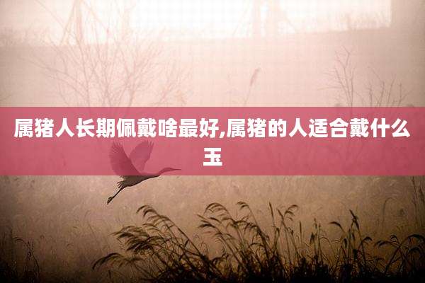 属猪人长期佩戴啥最好,属猪的人适合戴什么玉