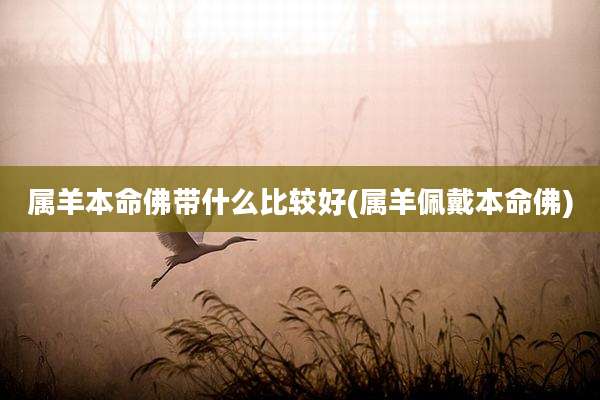 属羊本命佛带什么比较好(属羊佩戴本命佛)