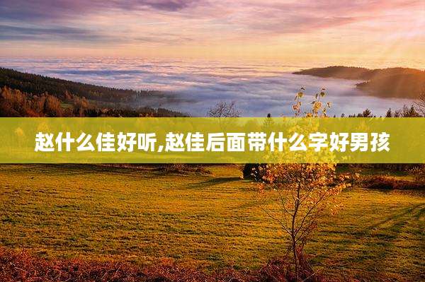 赵什么佳好听,赵佳后面带什么字好男孩