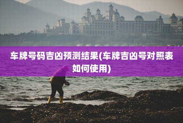 车牌号码吉凶预测结果(车牌吉凶号对照表如何使用)