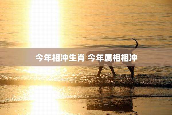 今年相冲生肖 今年属相相冲