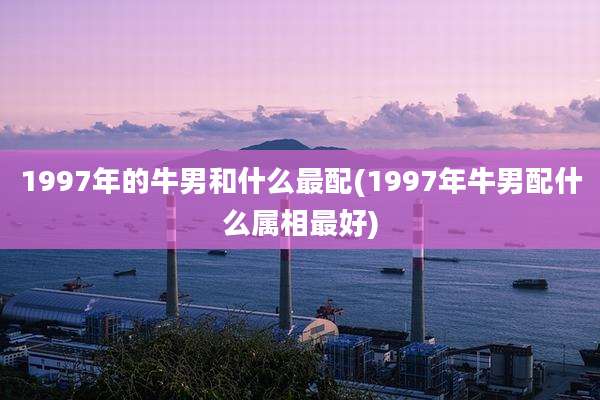 1997年的牛男和什么最配(1997年牛男配什么属相最好)