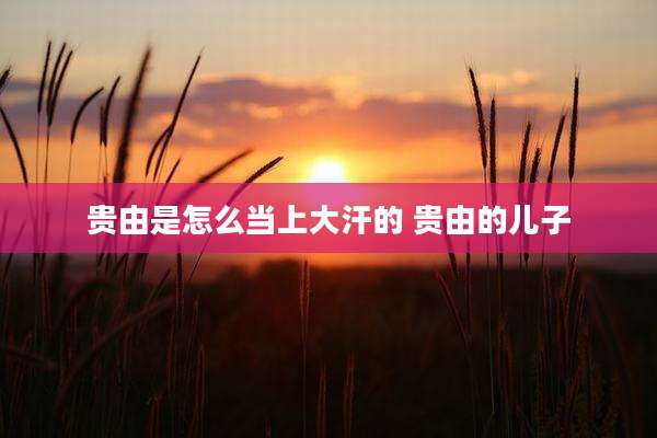 贵由是怎么当上大汗的 贵由的儿子