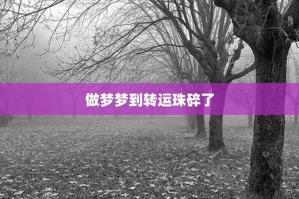 做梦梦到转运珠碎了