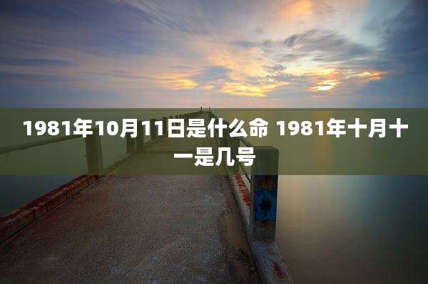 1981年10月11日是什么命 1981年十月十一是几号
