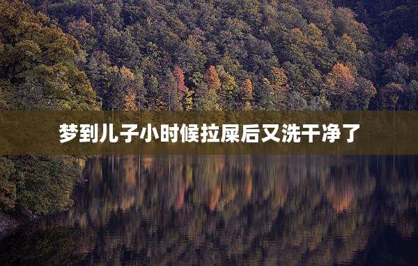 梦到儿子小时候拉屎后又洗干净了