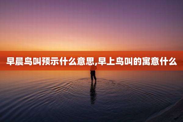 早晨鸟叫预示什么意思,早上鸟叫的寓意什么
