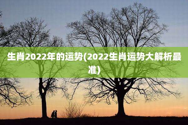 生肖2022年的运势(2022生肖运势大解析最准)