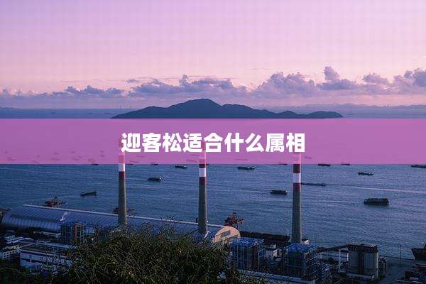 迎客松适合什么属相