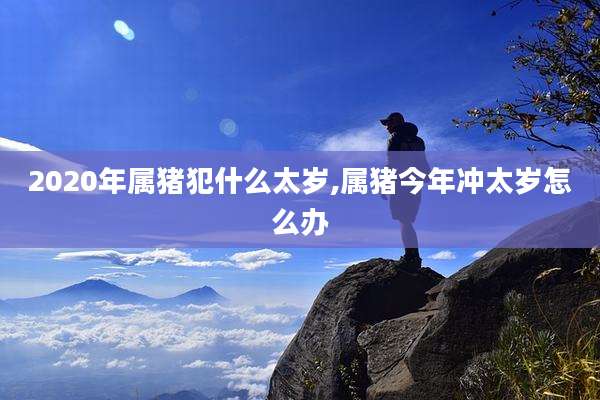 2020年属猪犯什么太岁,属猪今年冲太岁怎么办