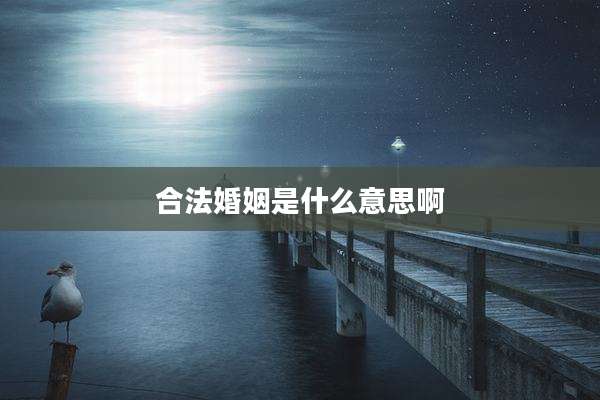 合法婚姻是什么意思啊