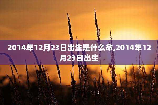2014年12月23日出生是什么命,2014年12月23日出生