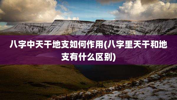 八字中天干地支如何作用(八字里天干和地支有什么区别)