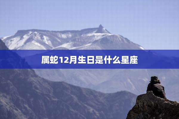 属蛇12月生日是什么星座