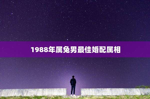 1988年属兔男最佳婚配属相